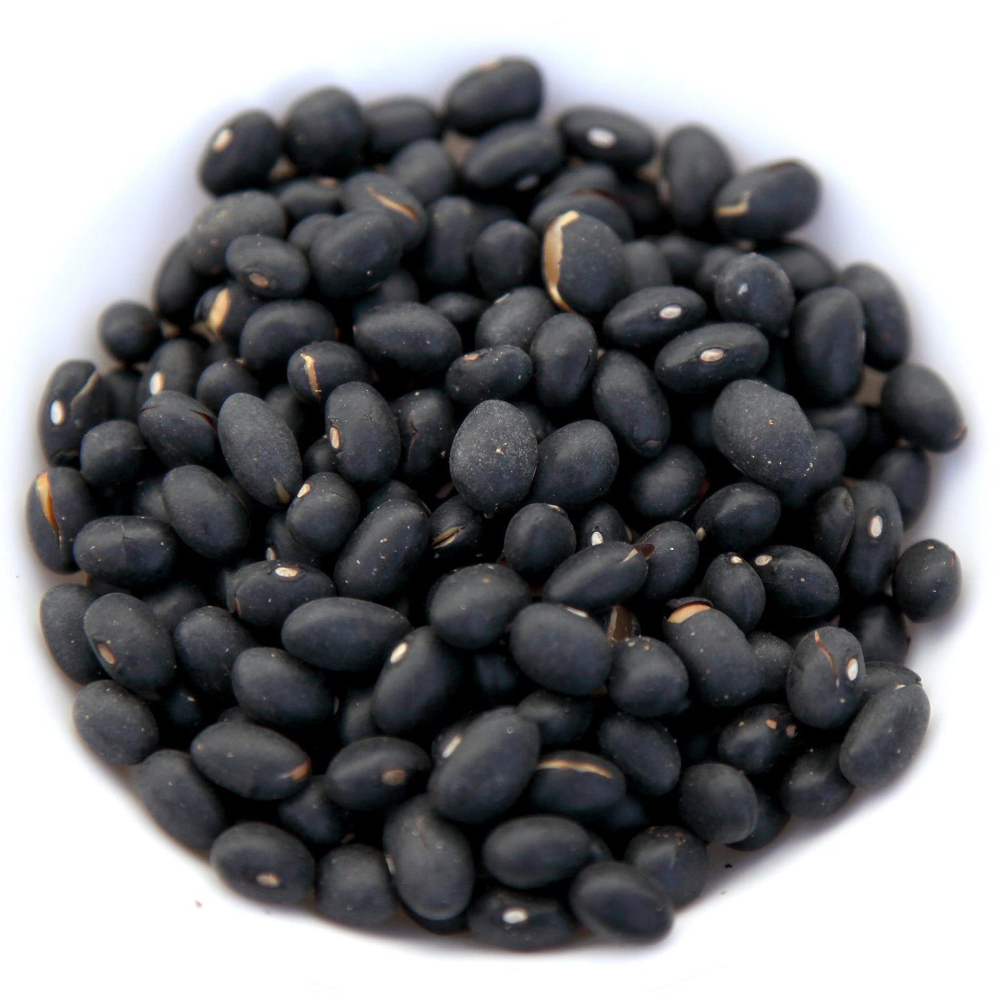 Black Bean Roast Tea - Product of USA
