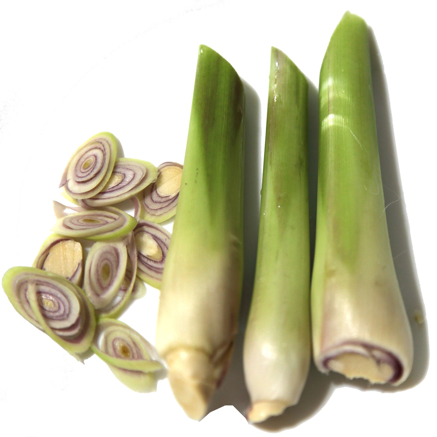 Lemongrass Roast Tea - Product of USA