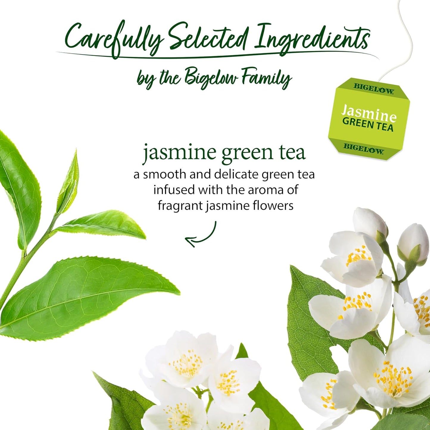 Bigelow Tea Jasmine Green Tea 20 Count Box